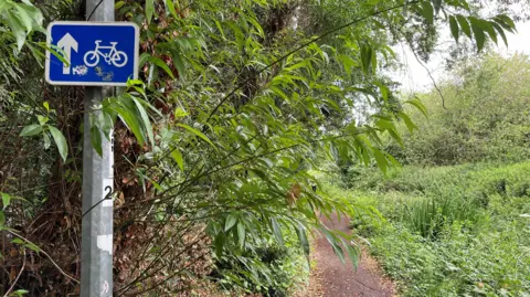 Tom Jackson/BBC A pathway goes between two rows of hedges and bushes. In the foreground on the left there is a silver pole which has a blue rectangular sign attached to it. The sign has a white arrow on the left and a bicycle on the right.
