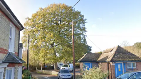 Google The tree pictured in summer, covered in green leaves. It is taller than adjacent houses and a small building next to it, which has blue doors. There is a van parked beneath the tree.