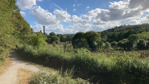 BBC A light brown footpath running next to a green hedgerow with trees in the distance and a blue sky with white, fluffy clouds. 