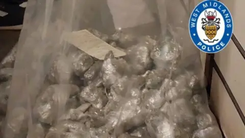 Bags full of cannabis are piled up in a cardboard box.