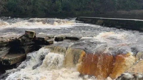 Richmond Falls in North Yorkshire. A small waterfall cascades down some rocks.