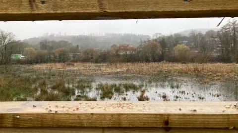 A view of green and brown bog land through a wooden observation slit