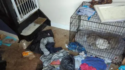 A dog crate is in the corner of the photo, close to a set of stairs, with no carpet. The carpet on the floor of the room is heavily stained, and covered in dirty clothing, a bowl and rubbish. 