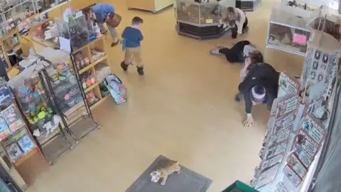 A bulldog puppy stands on a doormat in a pet shop as several people scramble behind it.