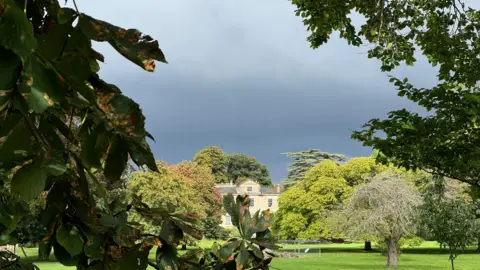 EstherJ A large home with cream-coloured bricks can been seen in the distance with tree branches and trees in the foreground framing the house. The sky is a dark grey colour and threatening rain