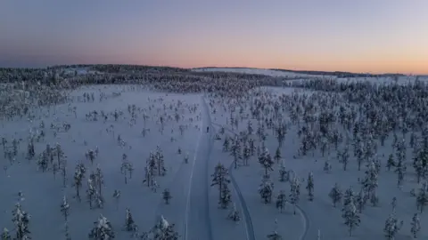 Rob Wilkinson A bird's eye view short of the sled trail across the arctic. The ground is entirely covered in snow and Rob Wilkinson can be seen very faintly dragging his sled. A number of fir trees are also visible. 