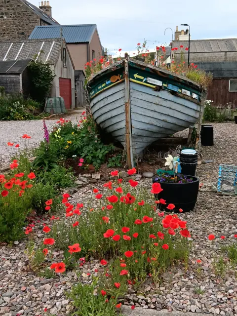 Colin Dey A boat filled with and surrounded by red flowers. It sits in a farm courtyard with buildings in the background.