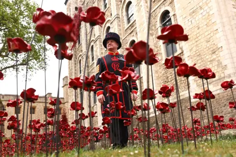 Getty Images A guard wearing formal attire looks on as red ceramic poppies are seen in the foreground against the backdrop of the Tower of London.