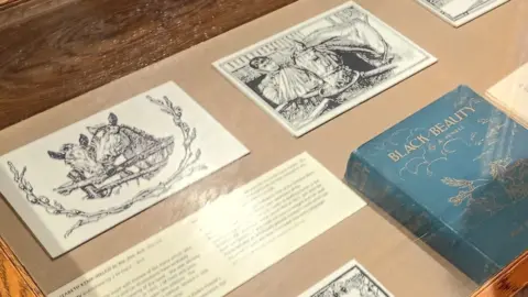 Bushey Museum and Art Gallery A glass-topped wooden display case is the main focus of the image. A blue book prominently displayed near the centre-right of the case. The book cover reads “BLACK BEAUTY” and appears to be an old or special edition.
