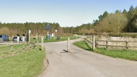 A view of woodland with a car park and path leading into the trees.