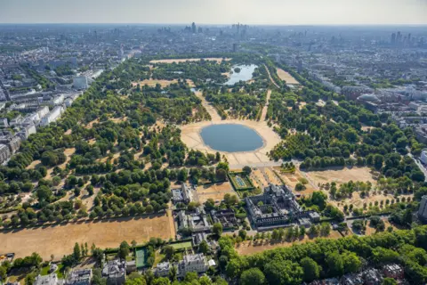 jasonhawkes.com Lake in middle of green trees and scorches grass