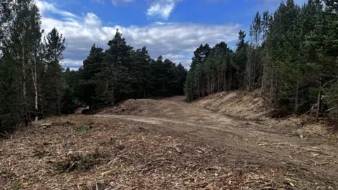 A forest track with significant clearance of vegetation on either side.