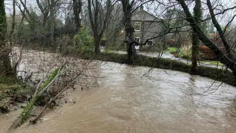 A muddy brown river overflows into gardens with fallen trees and low hanging branches. 