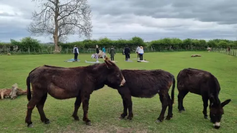 Sharon Rookes Three brown donkeys standing sideways on in a field. The one on the right is munching grass. Behind them is a group of people doing yoga. They are all standing bolt upright with their backs to the camera - and the donkeys.