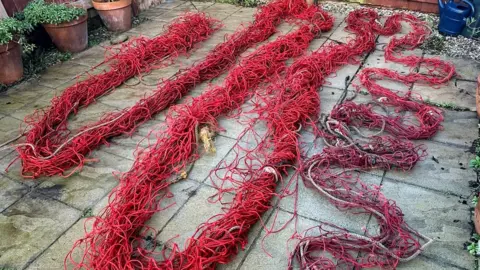 British Divers Marine Life Rescue A large red net stretched out across paving stones in a garden.