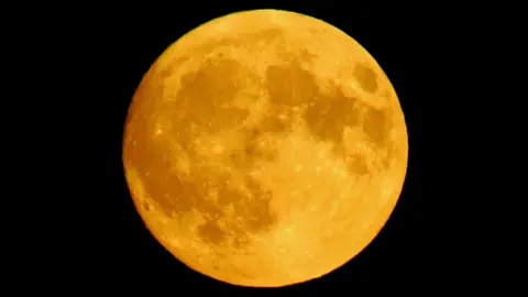Close-up view of a golden full moon against a black night sky, showing detailed craters and surface markings.
