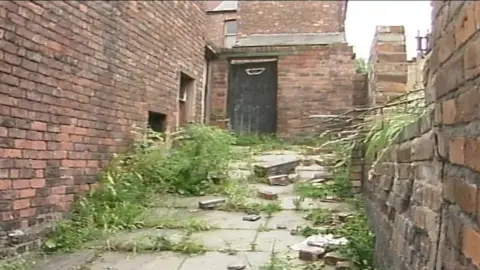 An overgrown alley bordered by a crumbling brick wall, with a black wooden gate at its far end