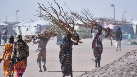 Women carrying firewood at Al Afad camp which hosts displaced people from the Darfur and Kurdufan regions