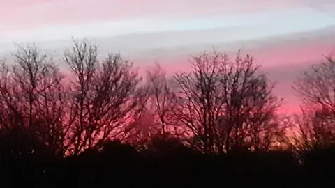 COUNTRY MARG/WEATHERWATCHERS A pink-coloured sunrise pictured behind trees in Peterborough. 