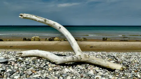 MICHAEL O'KANE Sea debris in the form of a giant stick in a Y shape rests on some shingle at a beach. 