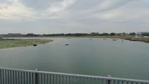 A Google Maps picture of Haslar Lake, which has grass surrounding it and boats on it.