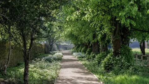 Casper Farrell A garden around a tower