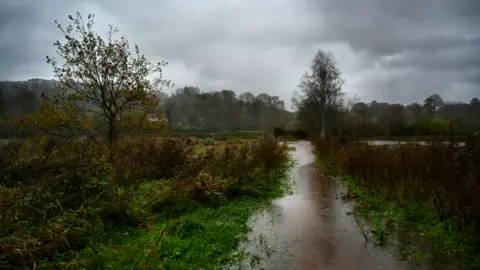 Krazy Keith/BBC Weather Watchers Flooded fields and paths near Exeter. Trees and vegetation blowing the wind