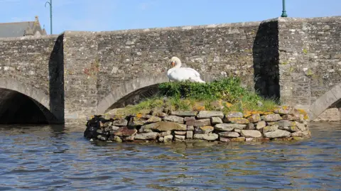 Swans on a stone island, next to an old stone bridge