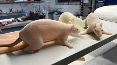 Darren Rozier/BBC A group of three silicon rats laying on a table.