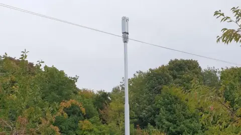 A white 5G mast in front of a row of trees.