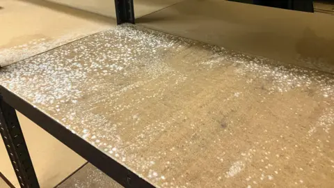 Elizabeth Baines/BBC Shelving featuring white mould