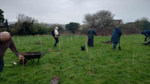 People planting trees