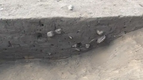 A trench shows various stone protruding and a set of teeth - possibly belonging to sheep 