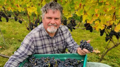 David Llewellyn David Llewellyn has salt and pepper hair and is wearing a checked shirt while holding red grapes from a box of grapes in front of vineywards