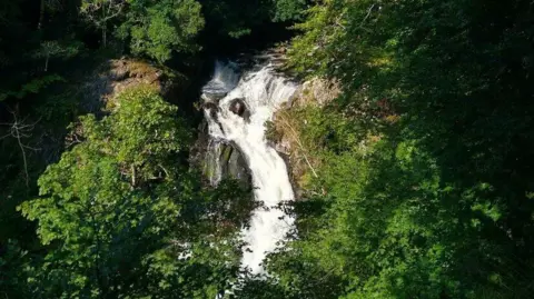 Aleks Scholz/Geograph A waterfall through trees