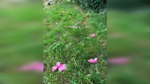 Alison Fure Pink faux flower petals on grass near a hedge in the cemetery.