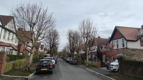 BBC A street of semi-detached, red-brick houses. Lining the pavement are a number of light coloured leafless trees.