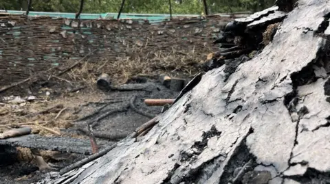 Tom Jackson/BBC The charred and broken remains of the roof surrounded by scorched earth and a broken round wicker structure. Trees can be seen in the background.