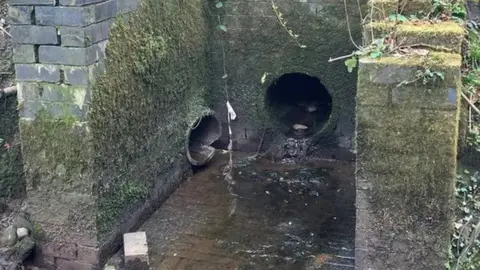 Slurry gathers on a pave entranced to leaking storm drain set on a river bank. 