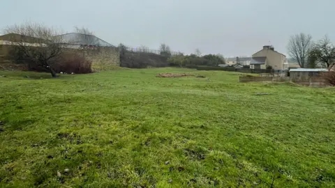 A field of grass with a wall around part of it and a fence around another part. There are some trees and shrubs and the back of a few houses on show too. 
