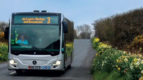 A single decker bus on a country road with daffodils in the hedgerows at either side.