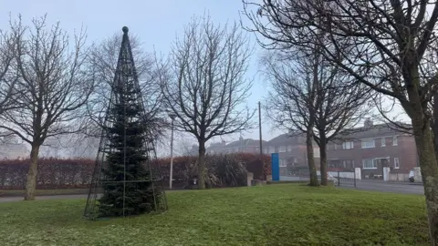 Tree in Newtownabbey. It is in the middle of a large patch of grass and a number of bare trees are surrounding it. A metal cage is placed over the top of the tree.