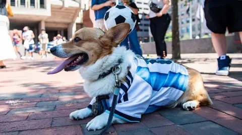AFP via Getty Images A dog is dressed in a Lionel Messi jersey as fans attend a watch party for the 2026 World Cup Final between Spain and Argentina, in Boston 