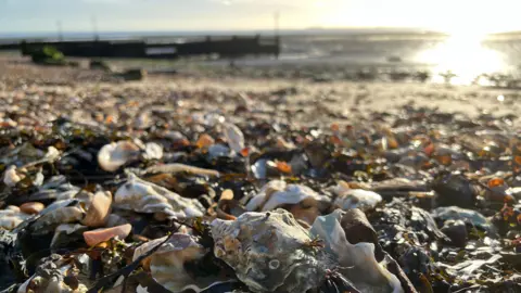 The beach off Mersea Island at sunset. Colchester oyster shells can be seen on the beach in the foreground, while a perch can be seen in the background. The sun reflects from the sea.