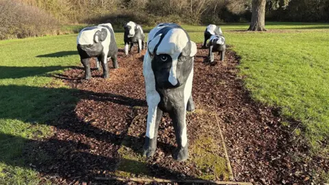 Six black and white sculptures of cows. There is one in the centre nearest the camera, and the others are arranged behind to the left and right. They are standing on mud and stones in an area cut out of a grassy field with trees in the background.
