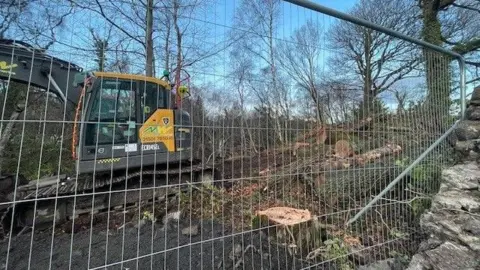 Susan Dick A bulldozer surrounded by cut down trees, with a fence in front of them.