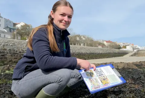 Ecologist looks at seaweed