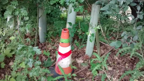 Mark Pointer Road traffic cone in shruberry