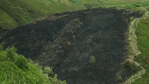 A large hillside landscape, most of which is covered in green grass and low vegetation. Cutting across the centre of the scene is a broad, dark blackened area that appears to be scorched ground.

The burned section stretches from the lower part of the valley up toward the crest of the hill. The surface within the blackened area looks uneven and textured, with patches of brown vegetation visible among the darker ground. The burned area occupies a significant portion of the hillside and has an irregular shape.
