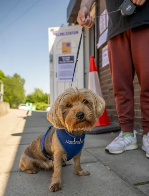 Getty Images Lucy the Yorkshire terrier pictured outside the Royal British Legion polling station on May 01, 2025 in Runcorn, England.